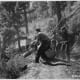 Civilian Conservation Corps in Idaho, Boise National Forest circa 1933.
