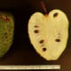 Inside of the Soursop fruit