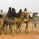 Camel riders at the Argungu fishing festival