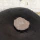 simili-urundai-a-healthy-ragi-laddu