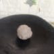 simili-urundai-a-healthy-ragi-laddu