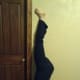 Half way up wall split