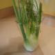 spinach-with-leeks-and-fennel