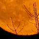 Full moon on Halloween