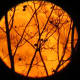 Full moon on Halloween