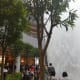 Immersion Garden at Level B2