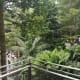 Walkway on the Shiseido Forest Valley