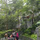 Walkway on the Shiseido Forest Valley