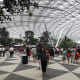 jewel-changi-airport-singapore