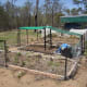 Vege gardens