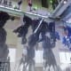 kamen-rider-zero-one-episode-8-review-the-destruction-begins-now
