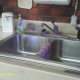 Drain and rinse sinks.