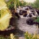 Waterfalls and lush foliage at the Ritz-Carlton Mauna Lani Hotel in Hawaii