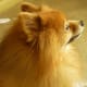 Skippy's profile