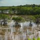 Everglades National Park, Florida