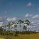 Everglades National Park, Florida