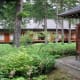 Tamozawa's large courtyard garden in summer.