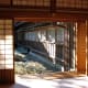 A courtyard garden in winter, Tamozawa villa.
