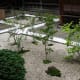A courtyard garden, summer at Tamozawa.