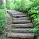 A path through Tamozawa villa's garden.