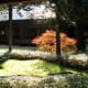 Autumn courtyard garden at Tamozawa.