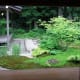 Courtyard garden in Tamozawa villa.