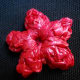 Photo #6: 2D CLUSTER Flower Back View