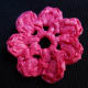 Photo #3: OPEN PUFF Flower Front View