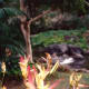 day-1-of-6-we-spent-on-vacation-in-hawaii-with-camera-in-hand