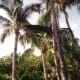 day-1-of-6-we-spent-on-vacation-in-hawaii-with-camera-in-hand