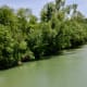 View from bridge. Snakes below!