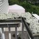 We now have a tiny third floor balcony, which my daughters share. The former occupants were kind enough to leave most of their planters for us.