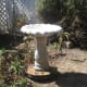 Once completed you will have adjusted the concrete birdbath level and ready for water.