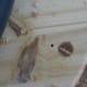 The top board will look like this photo. There will be the inner 1/8" pilot hole on the inside. Closest to the edge will be the 5/8" hole drilled completely through