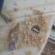 Be sure the wood drill passes all the way through the wood.