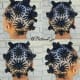 beautiful-brading-hairstyles
