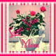 do-you-make-your-own-greeting-cards