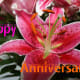 This is an E-card I made for a friend's anniversary. Your computer and personal photos are all you need!