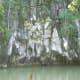 Limestone karst at the entrance.
