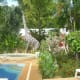 The pools surrounded by a garden.