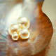 Shells can also be used to display polished pearls or jewelry.