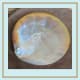 Some shells are polished and used as caviar dishes.