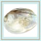 This shell has pearl blisters.