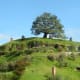 Bag End and the oak tree on top of it, seen from a distance.