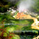 Geyser at thermal park just outside of Rotorua