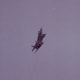 An F-15 performs at Andrews AFB, MD, May 1993.
