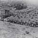 Mule train hauling silver ore