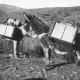 a-brief-history-of-arizona-silver-mining