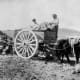 Vintage photo of men loading a cart pulled by mules