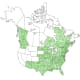 Black Cherry Tree Range Map (USDA Plant Database)